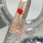 Crystal jel Flower Lipsticks & lipblam set
